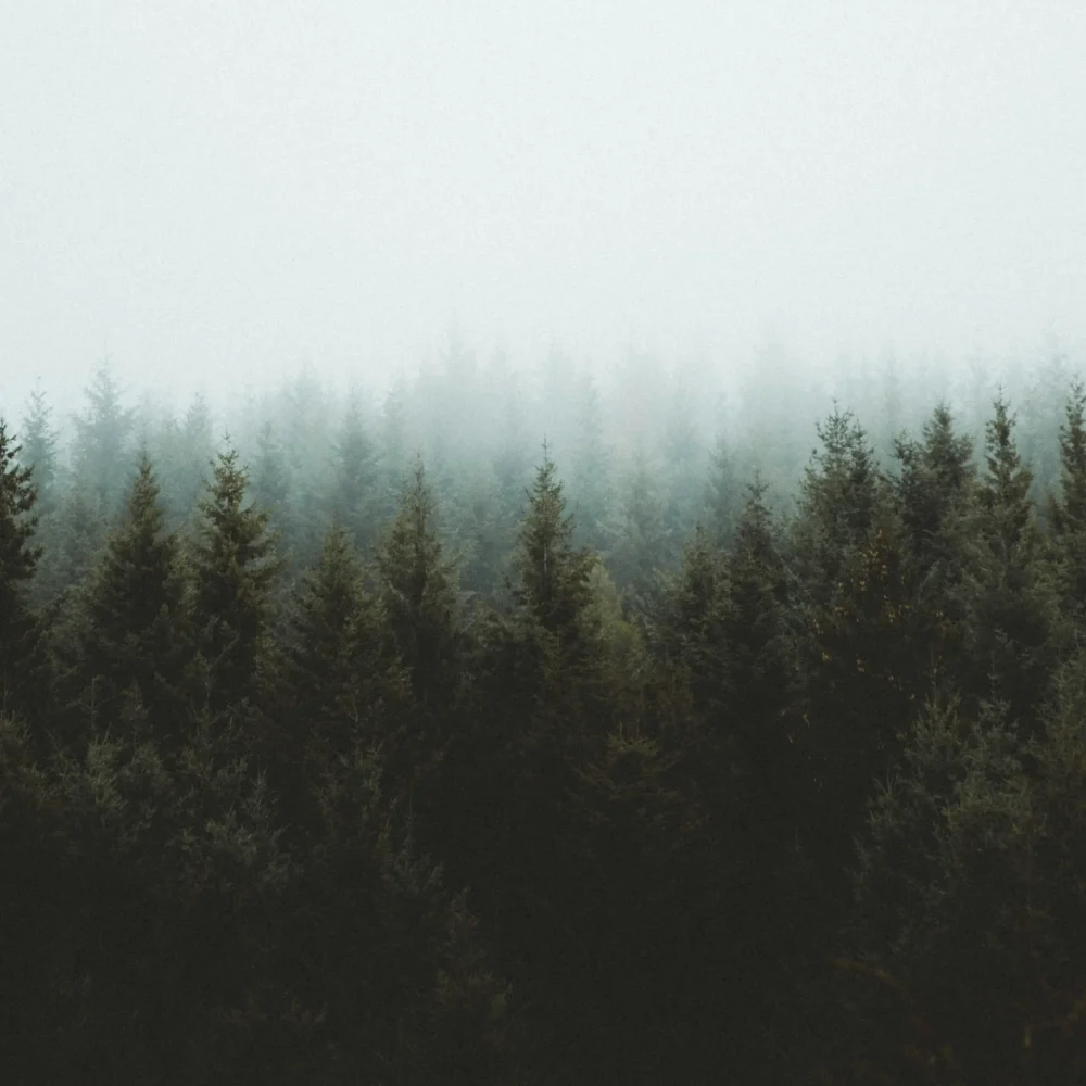 clement-m-igX2deuD9lc-unsplash