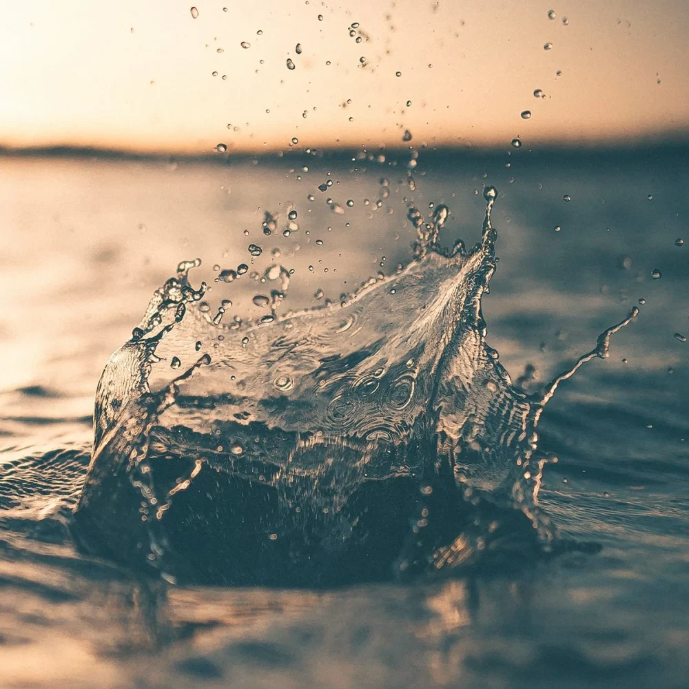 siwi-kundcase-water-spalsh